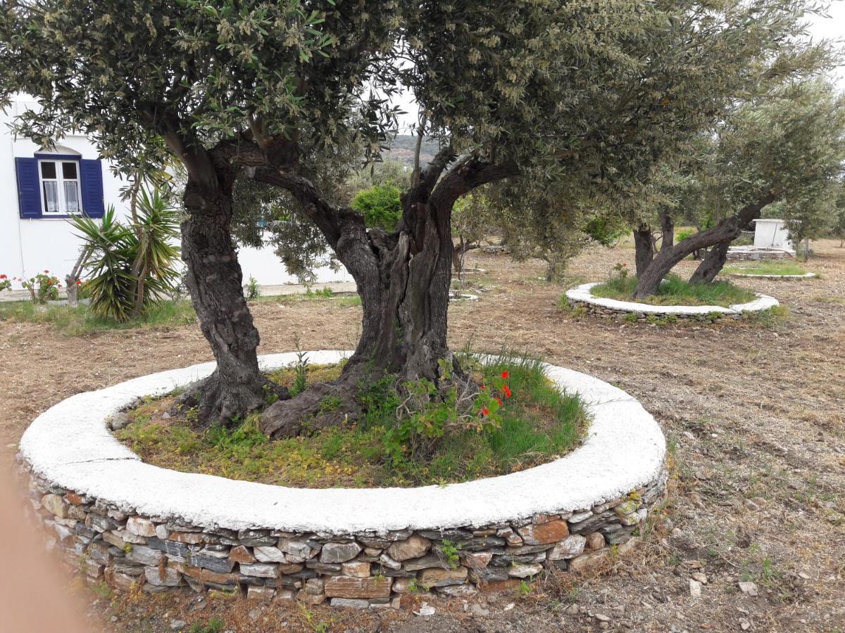 Elisso Villas Platis Gialos  Exterior foto